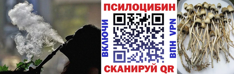 KRAKEN ТОР  Петровск-Забайкальский  Галлюциногенные грибы мухоморы 